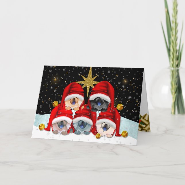 WELTFRIEDEN Chow Art Cards Karte (Vorderseite)