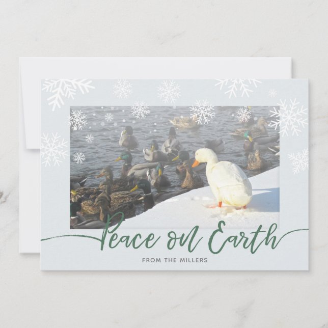Weltfrieden Ducks Holiday Card Feiertagskarte (Vorderseite)