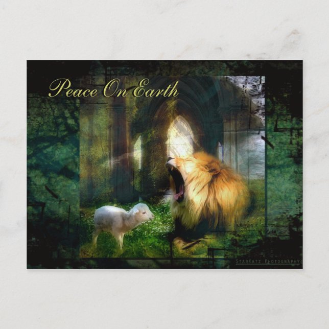 Weltfrieden Postkarte (Vorderseite)