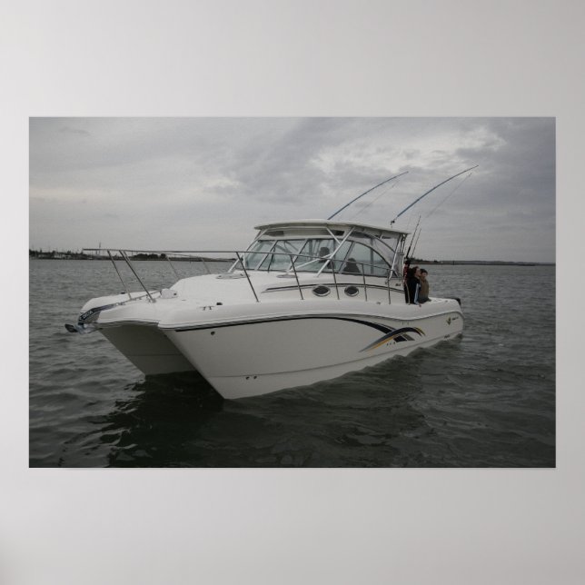 Weltkatze 320EC Poster (Vorne)