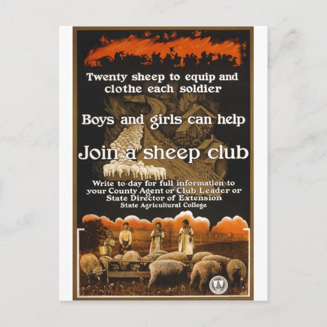 Weltkrieg 1 Sheep Poster-Werbung Postkarte (Vorderseite)