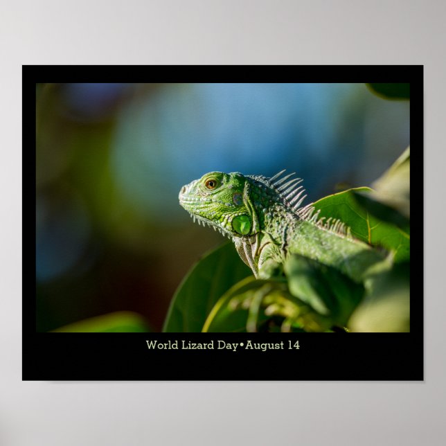 WeltLizard-Tag, Leguana Poster (Vorne)