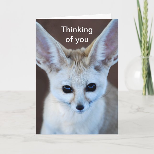 Weltniedlichster Fennec Fox Karte (Vorderseite)