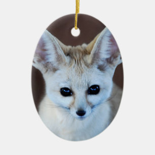 Weltniedlichster Fennec Fox Keramik Ornament