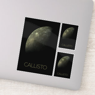 Weltraum, Kosmos, Sonnensystem, Mond Callisto Aufkleber