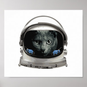 Weltraumhelm-Astronautenkatze Poster
