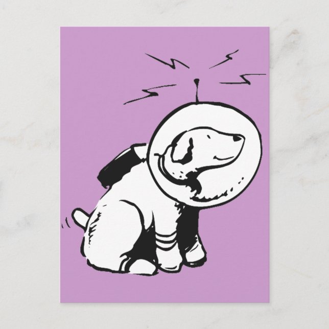 Weltraumhund Postkarte (Vorderseite)
