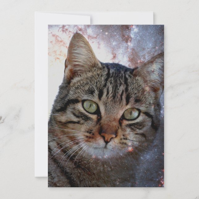 Weltraumkatze (Vorderseite)