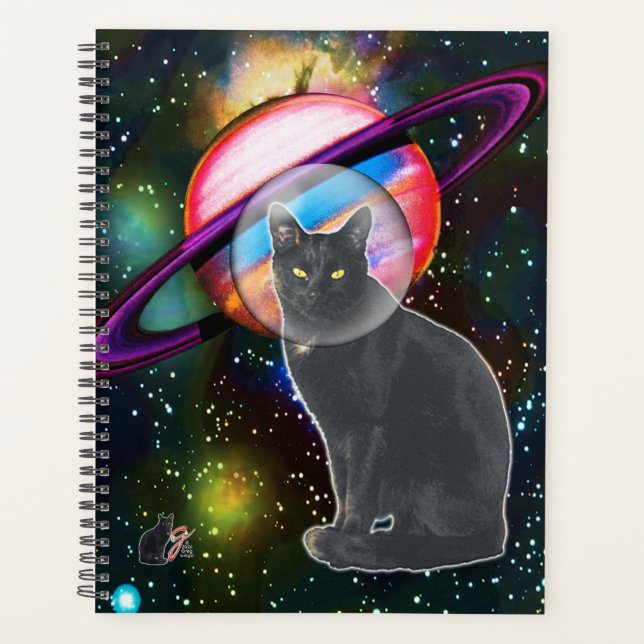 Weltraumkatze Cosmo Planer (Vorderseite)