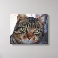 Weltraumkatze