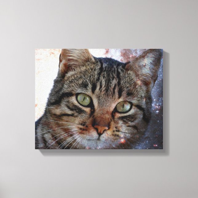 Weltraumkatze Leinwanddruck (Vorderseite)