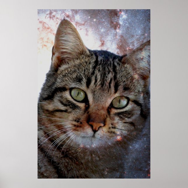 Weltraumkatze Poster (Vorne)
