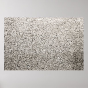 Weltweites Wurmkonzept - Risse aus versendeter Erd Poster