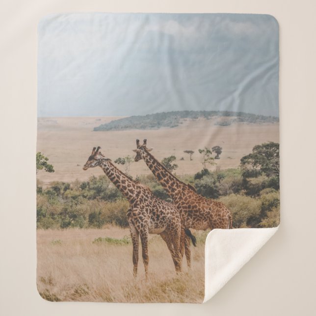 WELTWILDLIFE TAG SHERPADECKE (Vorderseite)