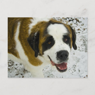 wemissTANK Postkarte