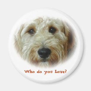 Wen Liebe du? Funny Dog Magnet