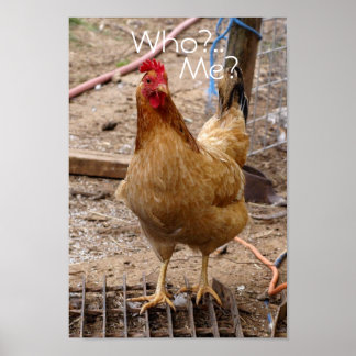 Wen nennen Sie bei Hühnchen? Poster
