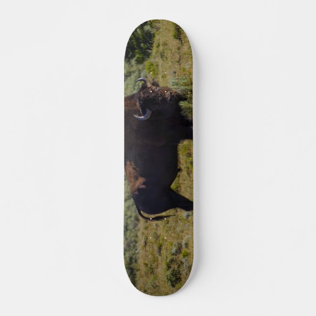 Wen Sie sich ansehen Skateboard (Vorne)