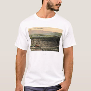 Wenatchee, WashingtonAerial Ansicht eines T-Shirt