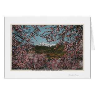 Wenatchee, WAView des Mt. Cashmere mit Bäumen