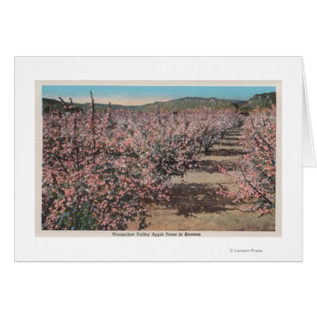 Wenatchee, WAView of Apple Trees in Blossom (Vorderseite (Horizontal))