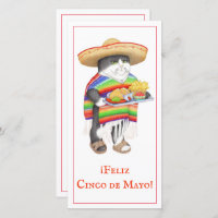 WENDELITO Cinco de Mayo 8x4