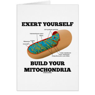 Wenden Sie sich Gestalt Ihre Mitochondrien an