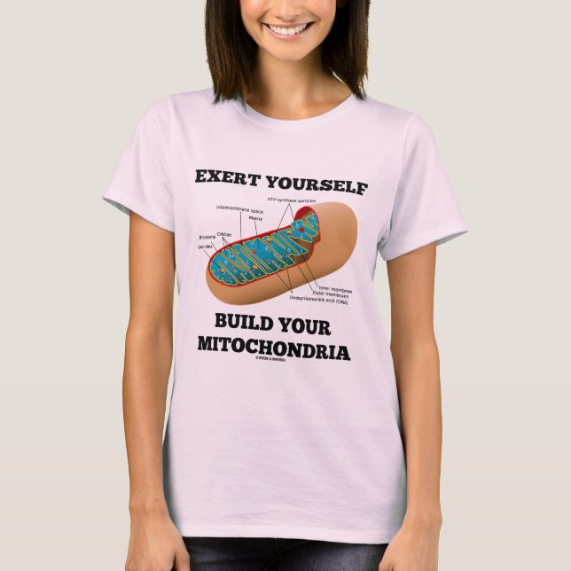 Wenden Sie sich Gestalt Ihre Mitochondrien an T-Shirt (Vorderseite)