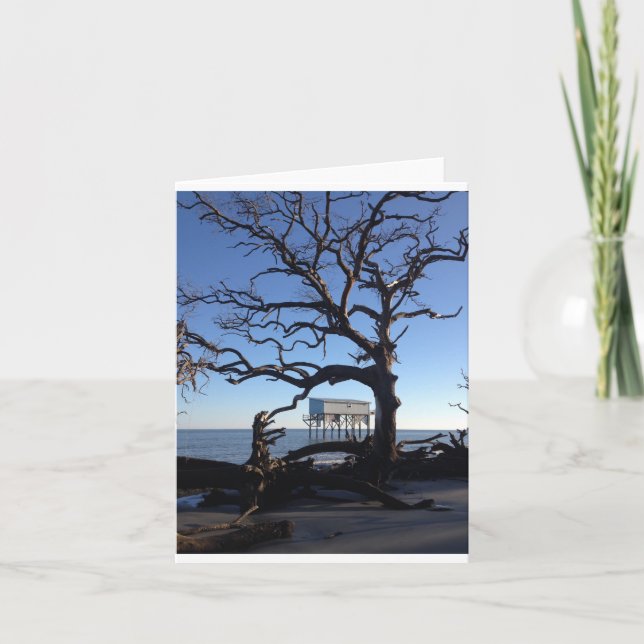 "wenig blaues" notecard karte (Vorderseite)