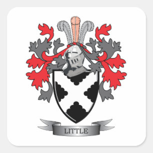 Wenig Familienwappen-Wappen Quadratischer Aufkleber
