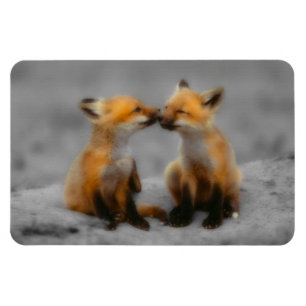 Wenig Fox-Liebe Magnet