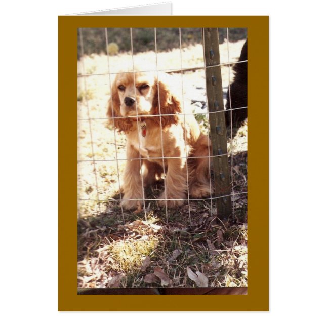 wenig geächtet (Vorne)