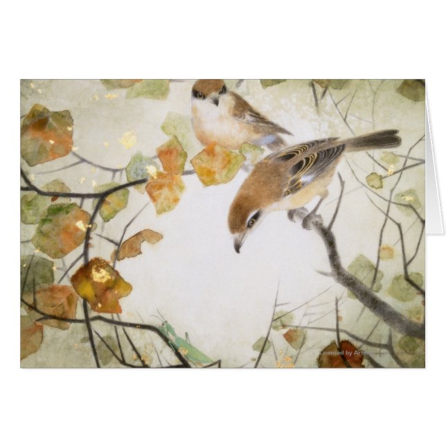 Wenig Geschöpf-Stier-köpfiges Shrikes (Vorderseite (Horizontal))