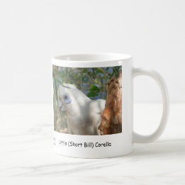 Wenig (kurzer Bill) Corella Tasse