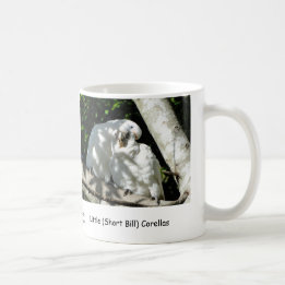 Wenig (kurzer Bill) Corellas Tasse