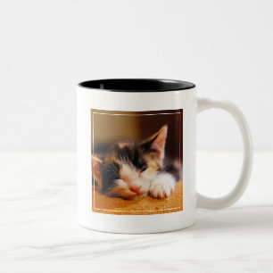 Wenig Miezekatze-Schlafen Zweifarbige Tasse