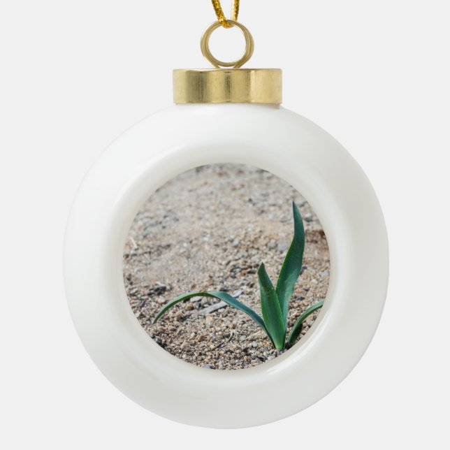 Wenig Pflanze Keramik Kugel-Ornament (Vorderseite)