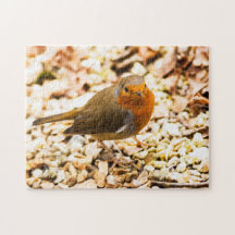 Wenig Robin Redbreast
