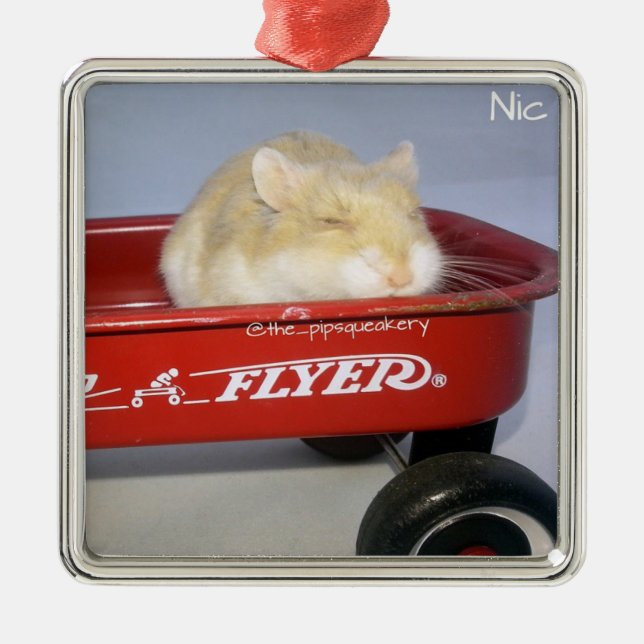 Wenig roter Lastwagen! Silbernes Ornament (Vorne)