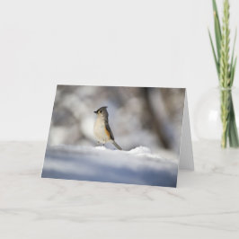 Wenig Schnee-Vogel Karte