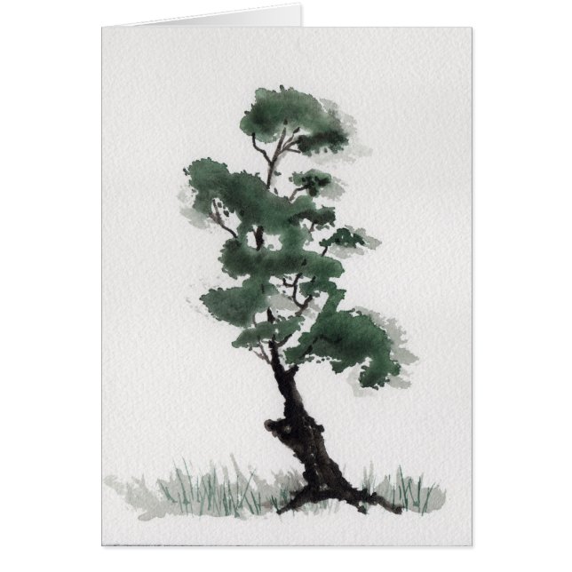 Wenig Tannen-Baum (Vorne)