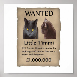 Wenig Timmi wollte Plakat