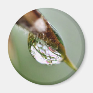 Wenig Weltwasser-Tröpfchen Magnet