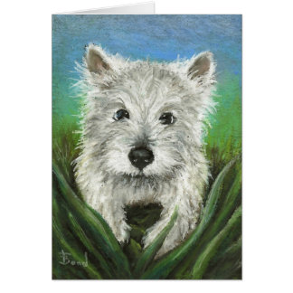 Wenig Westie, das im Gras spielt