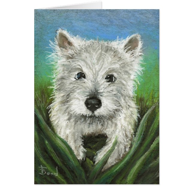 Wenig Westie, das im Gras spielt (Vorne)
