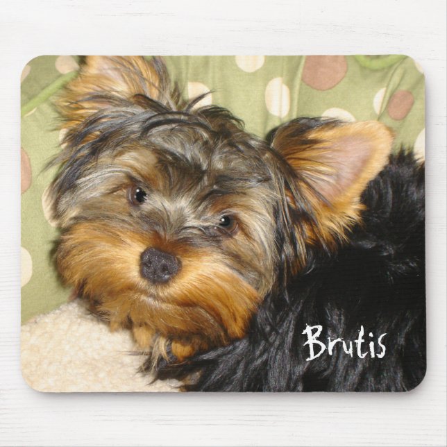 Wenig Yorkie Mausunterlage Mousepad (Vorne)