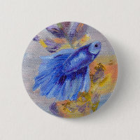 Wenige blaue Betta Fische