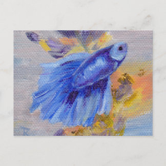 Wenige blaue Betta Fische Postkarte
