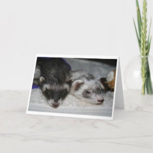 Wenige Dooks Lagerschwelle-Gruß-Karten Karte