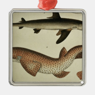 Wenige gepunktete kleine Haie Silbernes Ornament